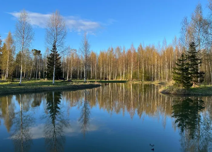 Marika Puhkekuela - Metsanurga Jaervemaja *